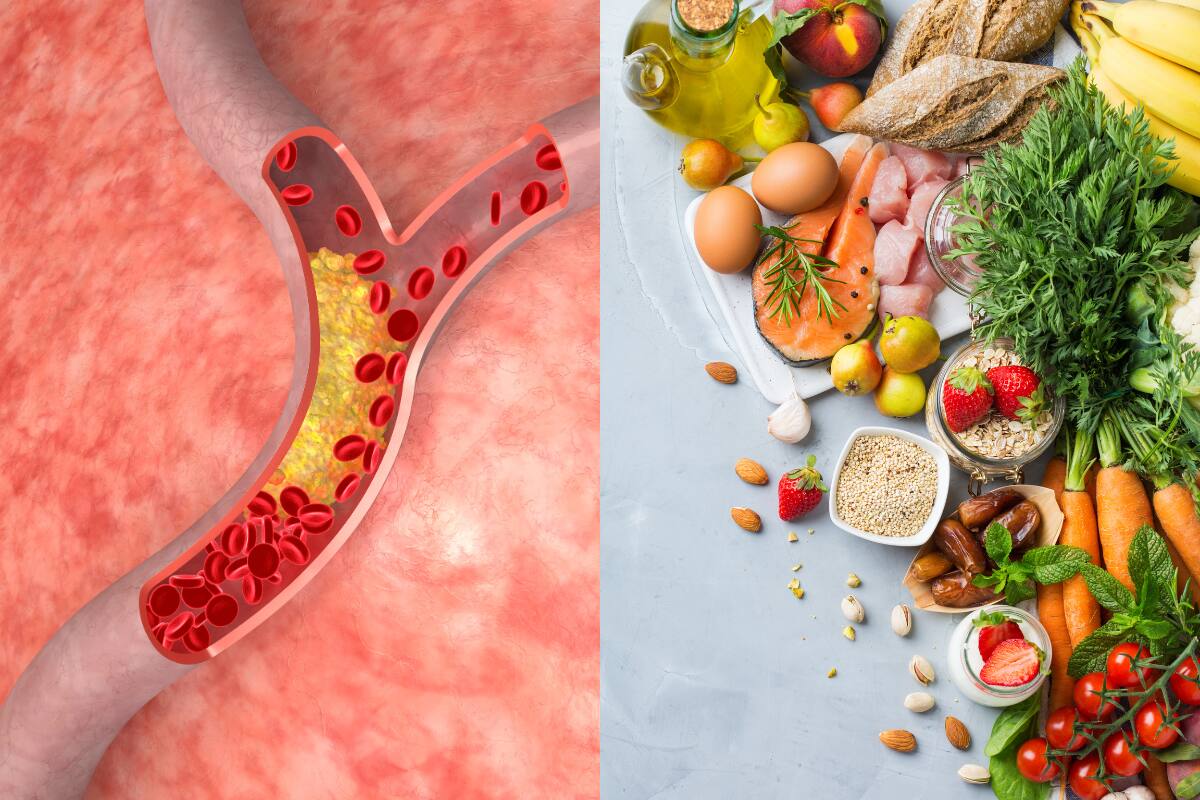 Descubre cuál es la dieta ideal.