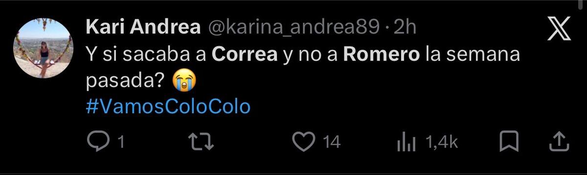 Los hinchas albos cargaron contra Javier Correa tras el triunfo ante Audax.