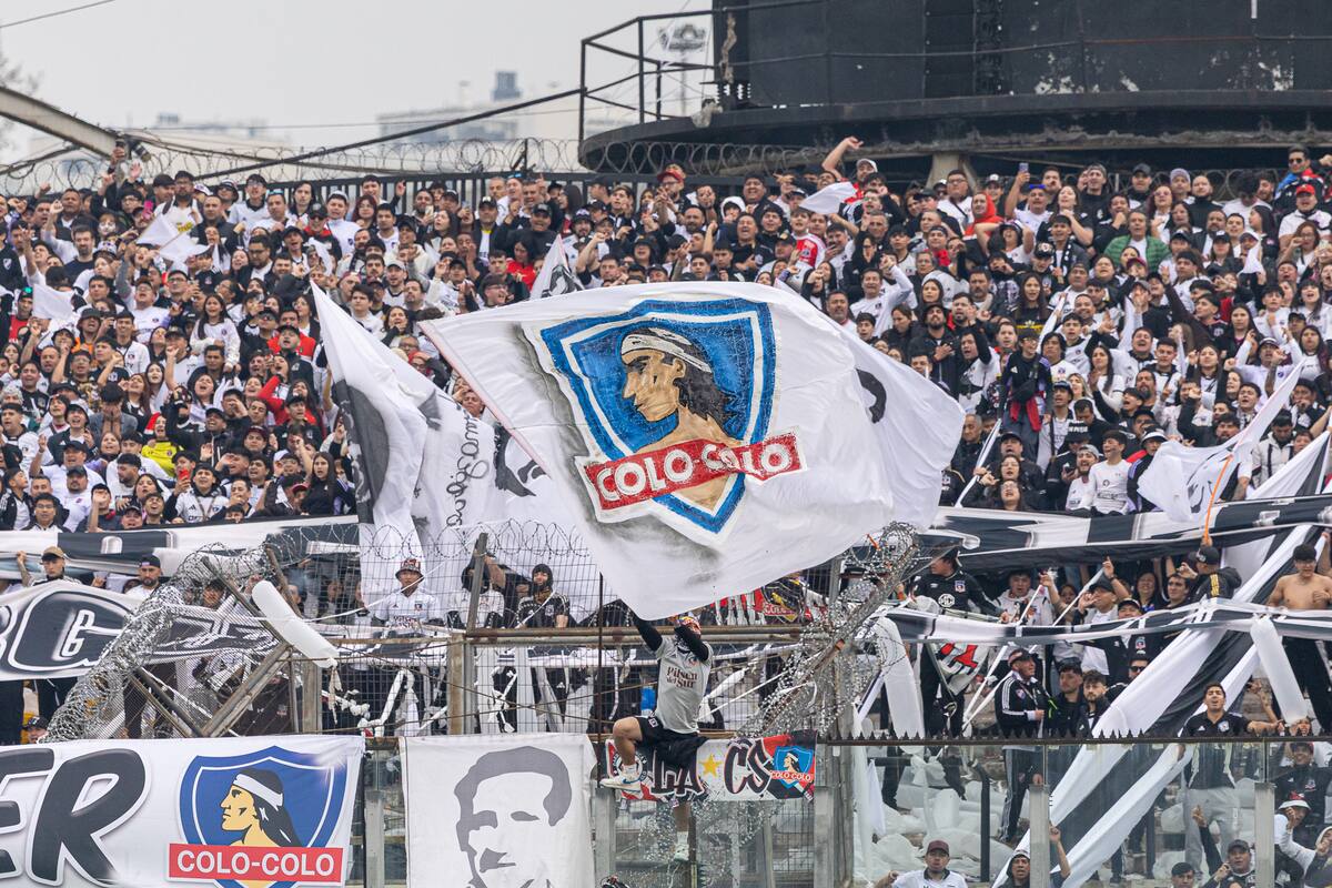 Hinchas albos en el Estadio Monumental. Foto: Felipe Escobedo / En Cancha.