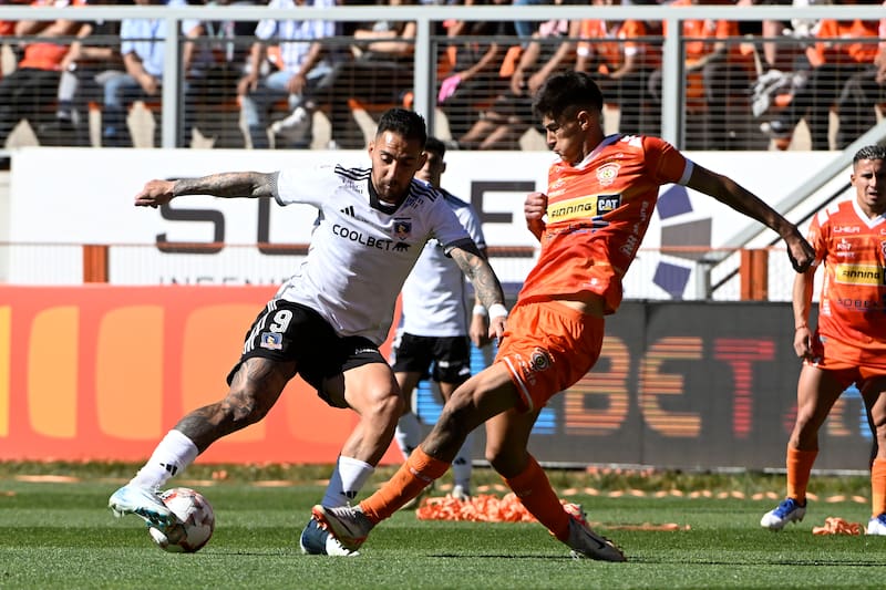 Albos y Zorros en el 2024.