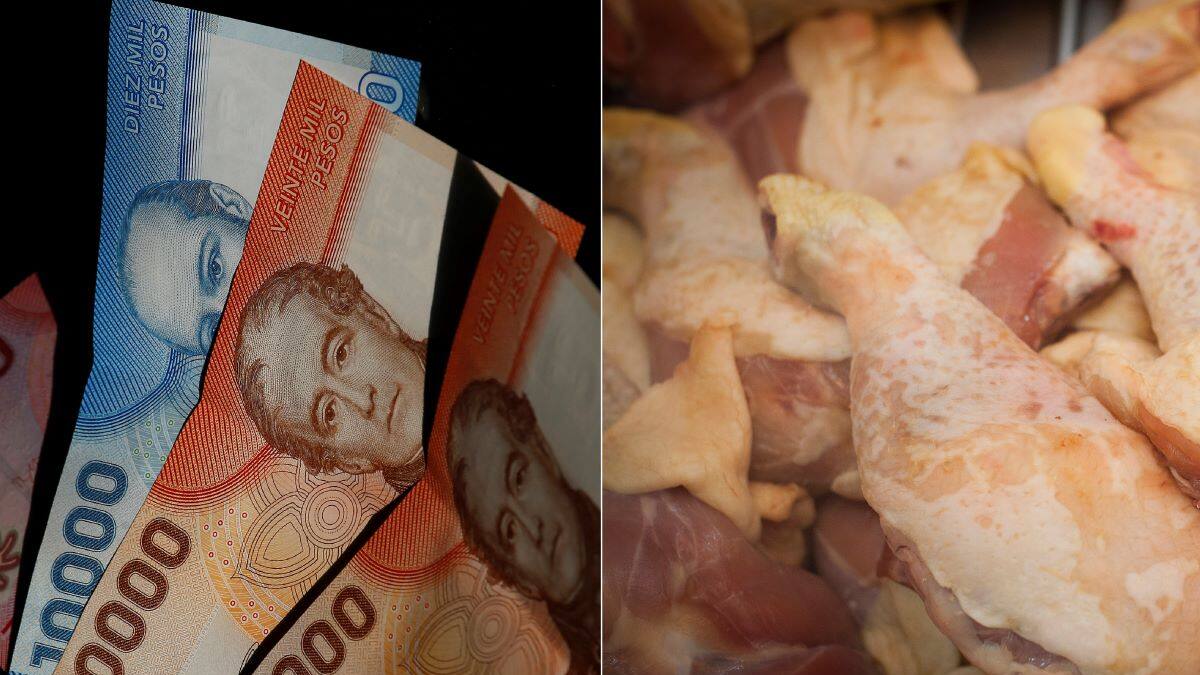 Recibirán $13 mil: Estos son los beneficiarios de la compensación por colusión de los pollos