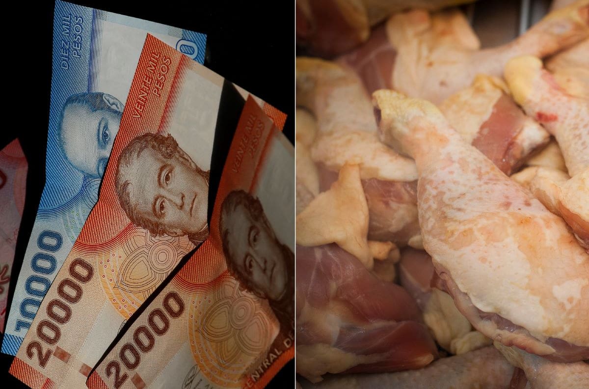 Recibirán $13 mil: Estos son los beneficiarios de la compensación por colusión de los pollos