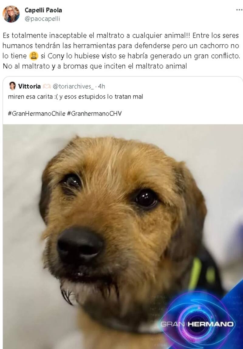 Créditos: Twitter