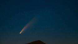 Cometa Diablo: ¿Cuándo pasará por la Tierra y cómo verlo?