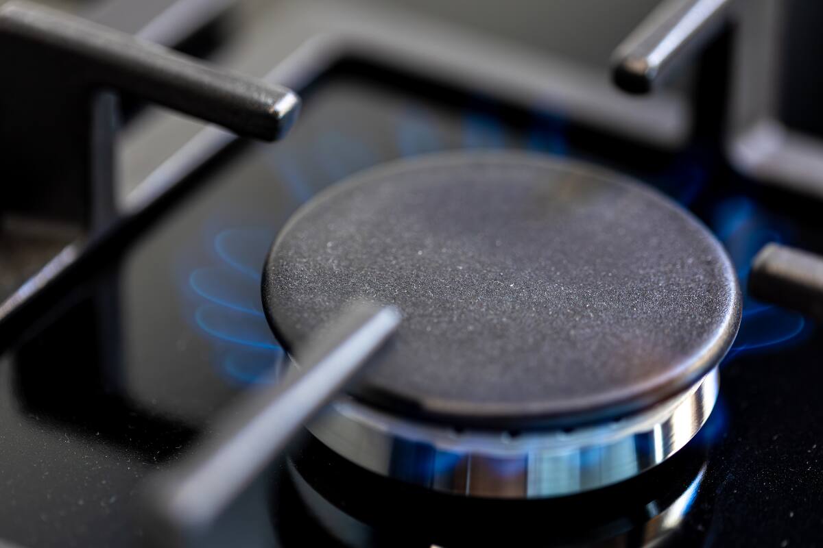 Debido a la preparación de ciertos alimentos y el uso diario, este electrodoméstico tiende a acumular suciedad fácilmente. Créditos: Freepik.