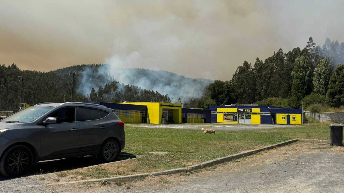 IMÁGENES | Alerta en Universidad de Concepción: incendio forestal se acerca a su centro deportivo