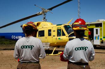 CONAF busca trabajadores en esta región de Chile: sueldos parten en $935.000