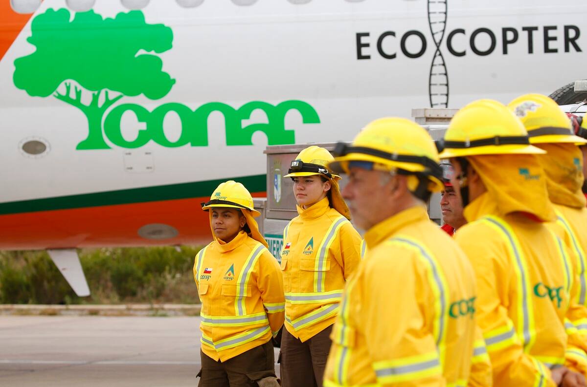 CONAF busca trabajadores: pagan desde $1.015.000
