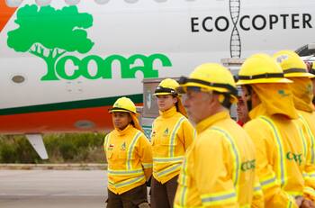 CONAF busca trabajadores: pagan desde $1.015.000