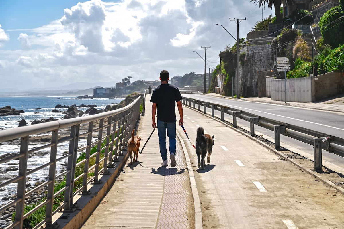 Más de 4 kilómetros de camino con ciclovías y senderos peatonales que transforman el borde costero. Foto: Aton Chile.