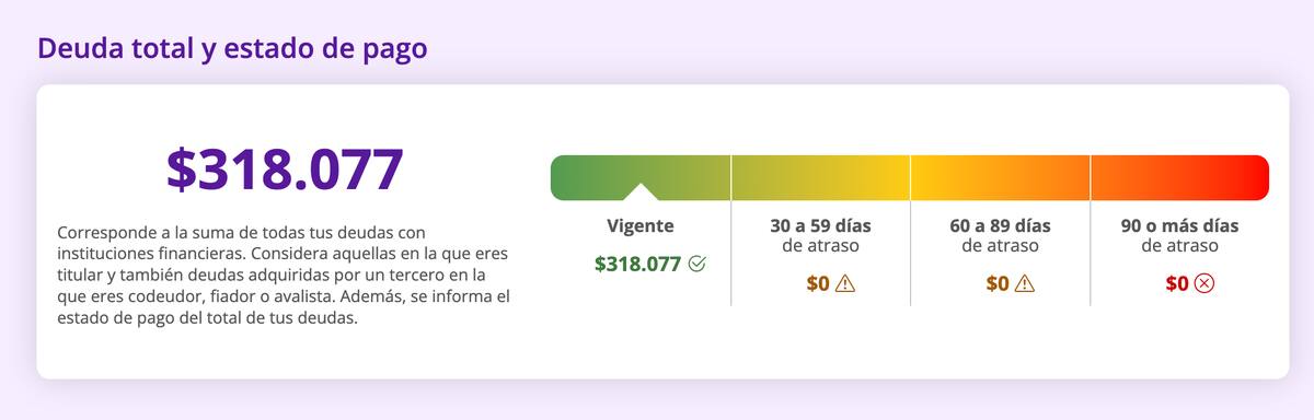 Así se ve el el sitio web que consolida todas las deudas contraídas.