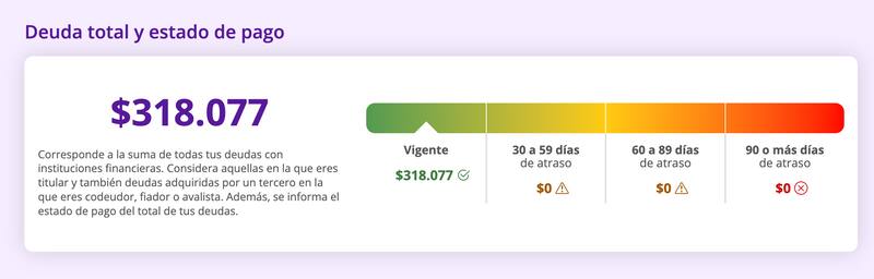 Así se ve el el sitio web que consolida todas las deudas contraídas.