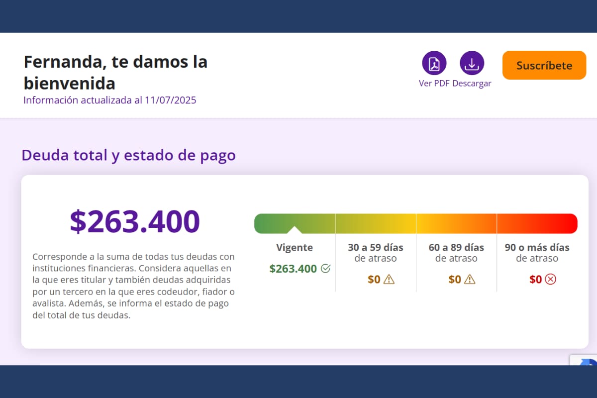 La plataforma muestra todo lo que se debe a las distintas entidades financieras.