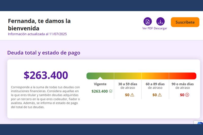 La plataforma muestra todo lo que se debe a las distintas entidades financieras.