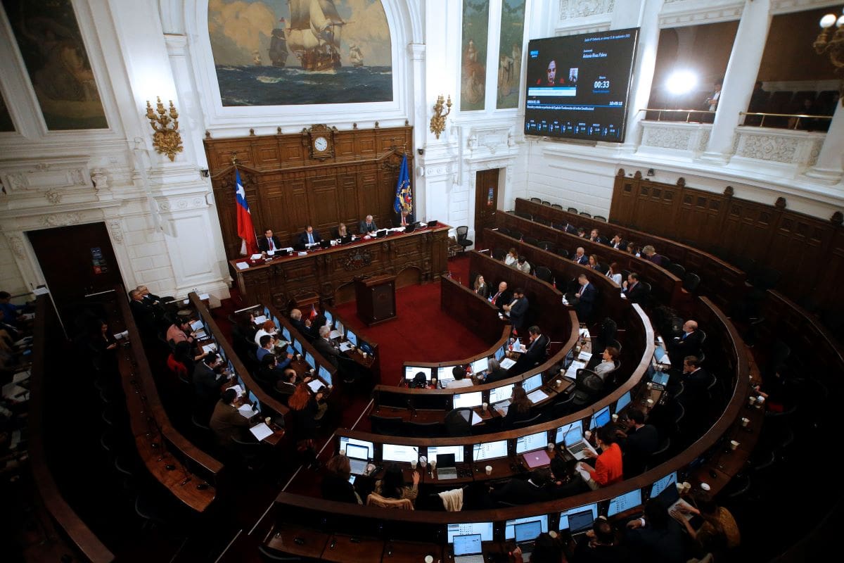 La Comisión de Principios, Derechos Civiles y Políticos del Consejo Constitucional aprobó la norma que protege la vida de quien está por nacer.