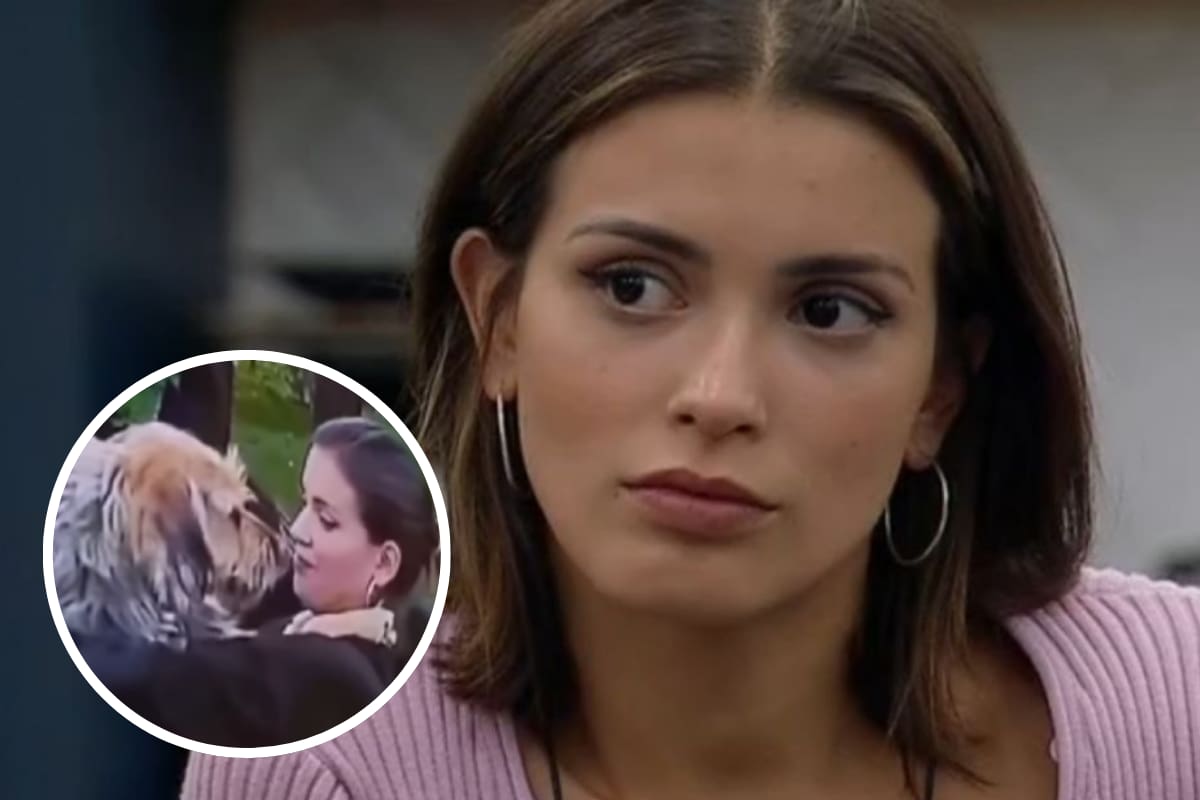 fue objeto de críticas de un famoso influencer mexicano.