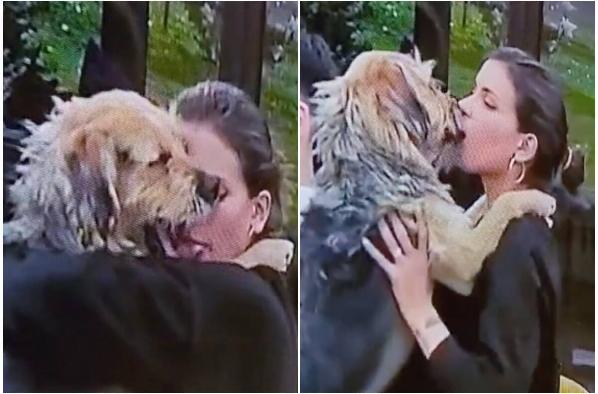 “Sucio y pervertido”: Página internacional compartió video del controversial beso de Constanza a Bigote generando fuertes reacciones