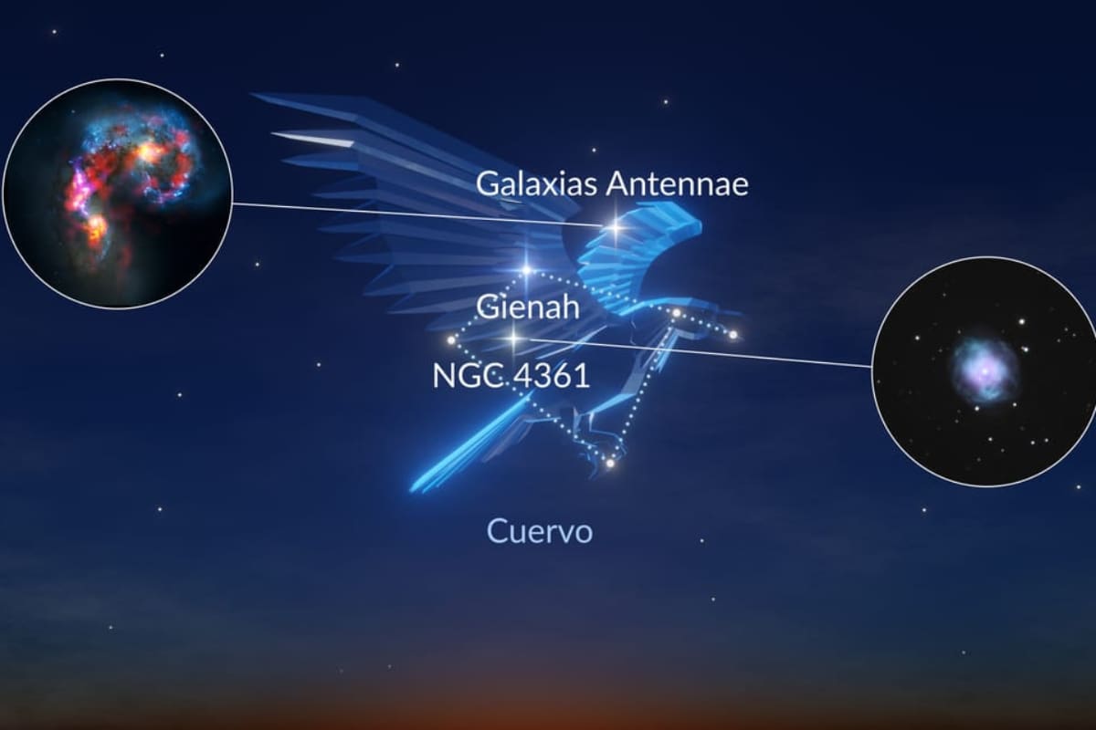 Su estrella más brillante es Gienah.