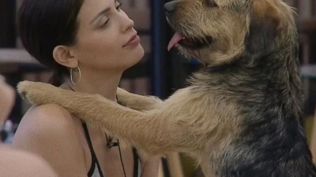 Cambio de casa, cuidados y más: Así será la nueva vida de Bigote junto a Constanza Capelli