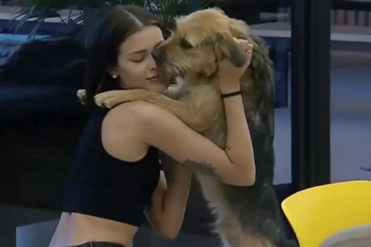 Tras un acuerdo con la producción del programa, Constanza podrá llevarse a Bigote tras el término de "Gran Hermano" Chile.