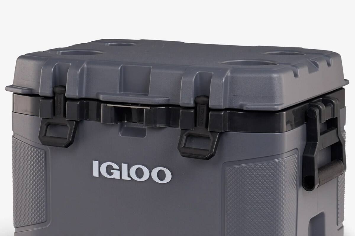 Conoce los modelos afectados. Créditos: igloocoolers.com