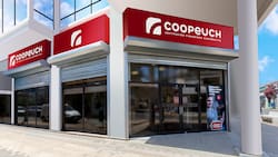 Coopeuch comienza a distribuir más de $63.500 millones en remanente: ¿Cómo saber cuánto dinero me corresponde?
