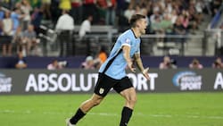 VIDEO | ¡Se volvió loco! Así vivió famoso relator uruguayo el último penal contra Brasil en Copa América