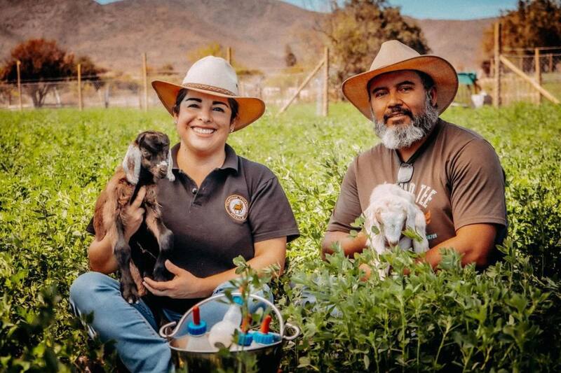 El queso chileno fue elogiado por su sabor e identidad.