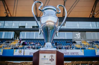 Aseguraron títulos y ascensos: el positivo impacto que tuvo la Copa Biobío en el cierre de la temporada 2025