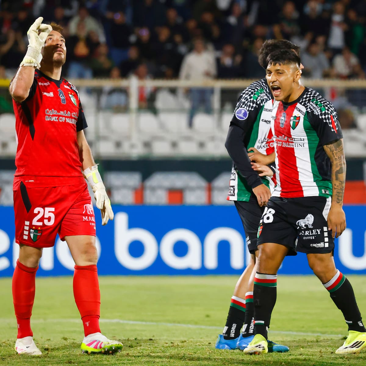 Con Zanahoria Pérez heroico: Palestino empató ante Gremio en La Cisterna