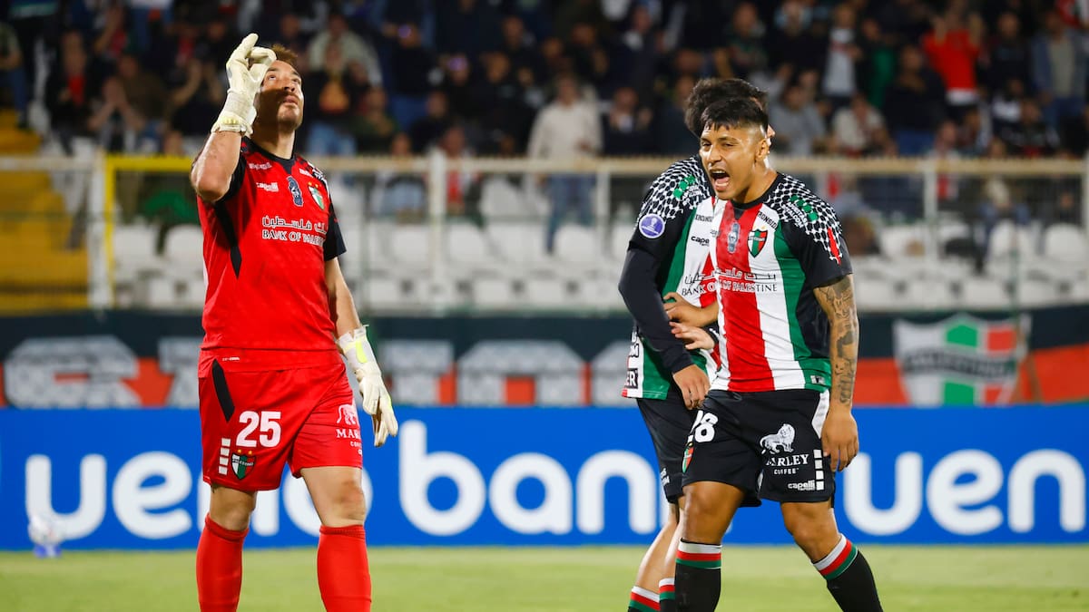 Con Zanahoria Pérez heroico: Palestino empató ante Gremio en La Cisterna