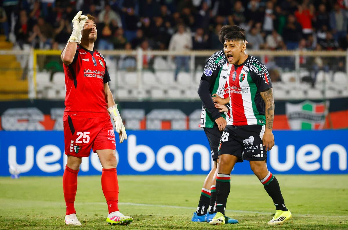 Con Zanahoria Pérez heroico: Palestino empató ante Gremio en La Cisterna