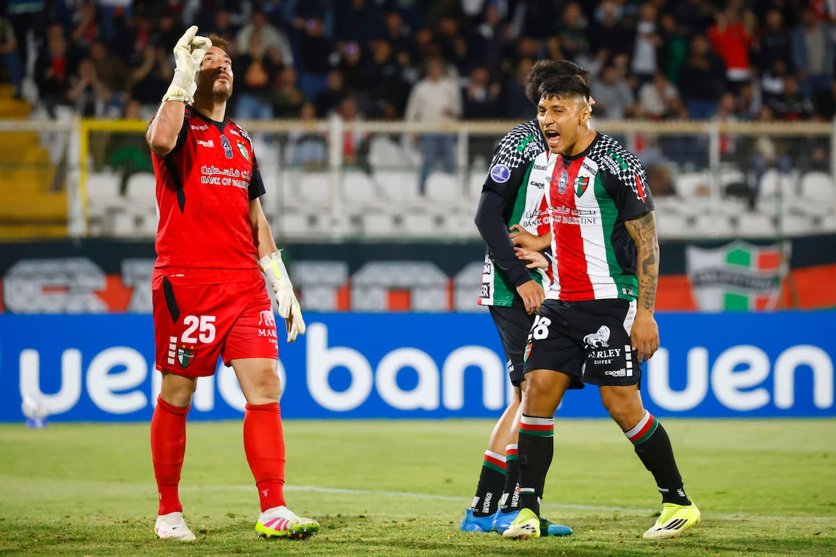 Palestino empató ante Gremio. Foto: Aton.