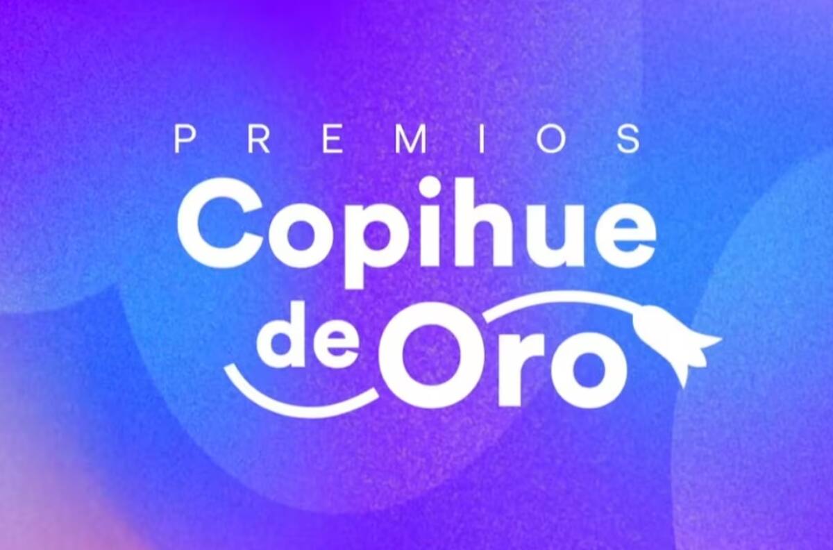 Copihue de Oro 2025: Revisa la lista de ganadores en cada una de las categorías