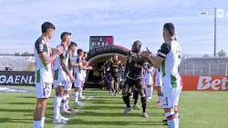 VIDEO | ¿Lo hará La Serena? El pasillo a la europea con el que Palestino recibió a Coquimbo Unido