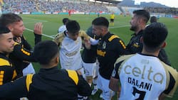 VIDEO | Así fue la eufórica celebración de la hinchada de Coquimbo con el gol de Palavecino
