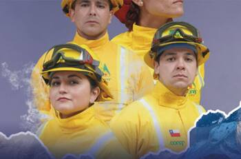 Corporación Nacional Forestal busca trabajadores: Pagan desde $507.000