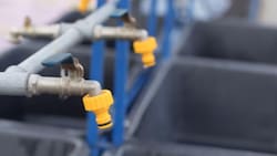 Aguas Andinas confirmó cortes de agua en sectores acotados de seis comunas de la RM para este miércoles 19 de noviembre