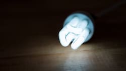 Enel confirma cortes de luz para este martes 23 de diciembre: Nueve comunas de la RM se verán afectadas