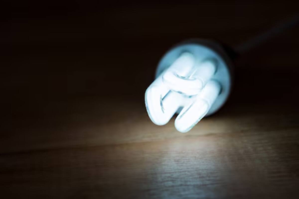 Sectores acotados de la capital tendrán interrupción en el suministro eléctrico en la jornada de este sábado.
Créditos: Freepik.