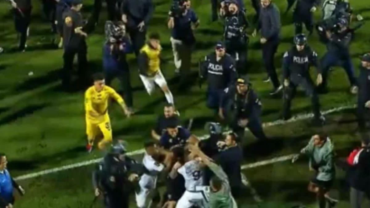 VIDEO | A los combos y patadas: la tremenda batalla campal en partido por el título