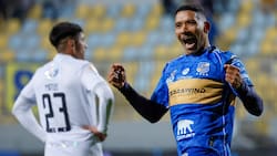 Pese a tener contrato vigente: Cristián Palacios no sigue en Everton y se marcha a este club de Primera División