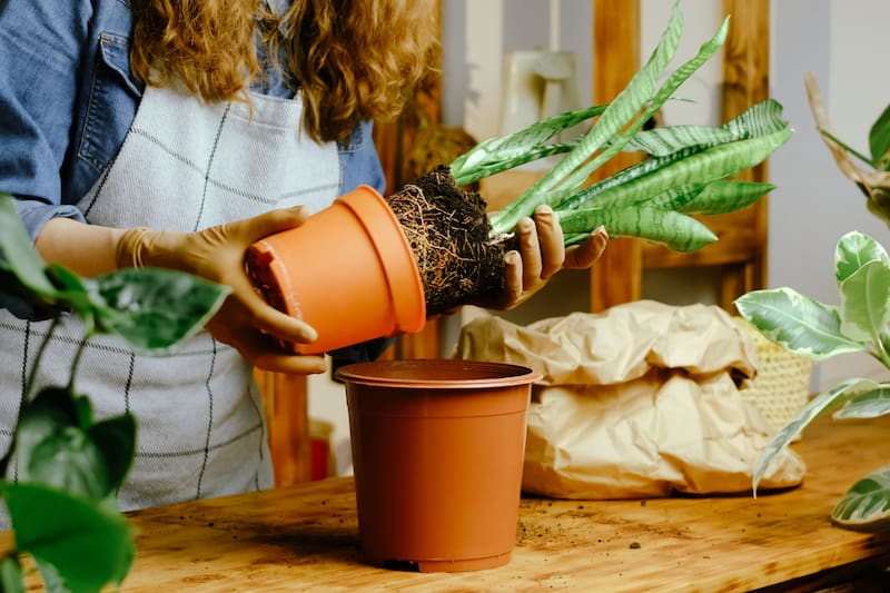 La psicología explica que la jardinería puede ser una forma de terapia.