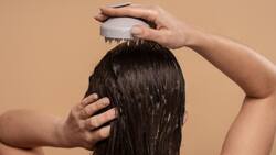 Esta es la planta que te ayudará a cuidar tu cabello de forma natural: tiene propiedades regeneradoras y protectoras