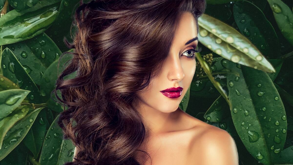 Elimina la caspa rápidamente con laurel y dale brillo natural a tu cabello
