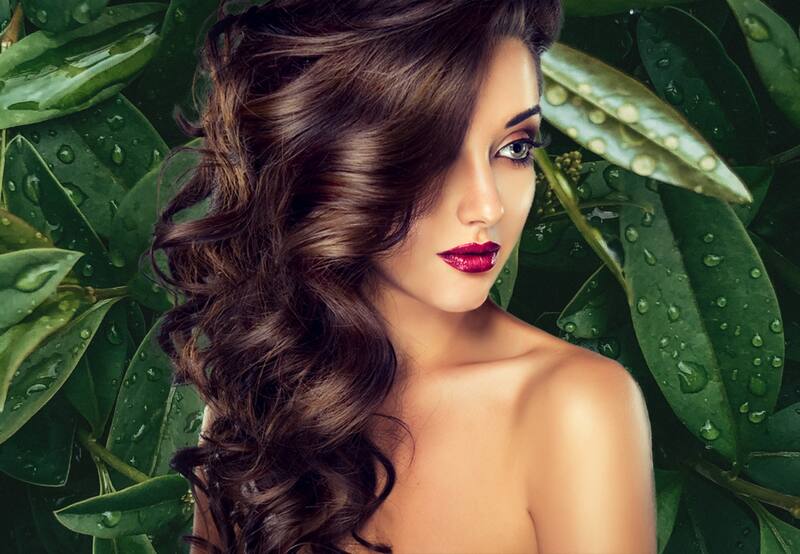 El laurel es una planta muy versátil y que la medicina tradicional viene usando desde hace centurias debido a sus múltiples propiedades | Foto: archivo Enlahora