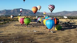 Festival de Globos Aerostáticos Peñaflor: Revisa el precio de las entradas y cómo llegar al Parque El Trapiche