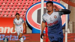 Fin al misterio: la elevada cifra que le pide Deportes Limache a Colo Colo por Popín Castro