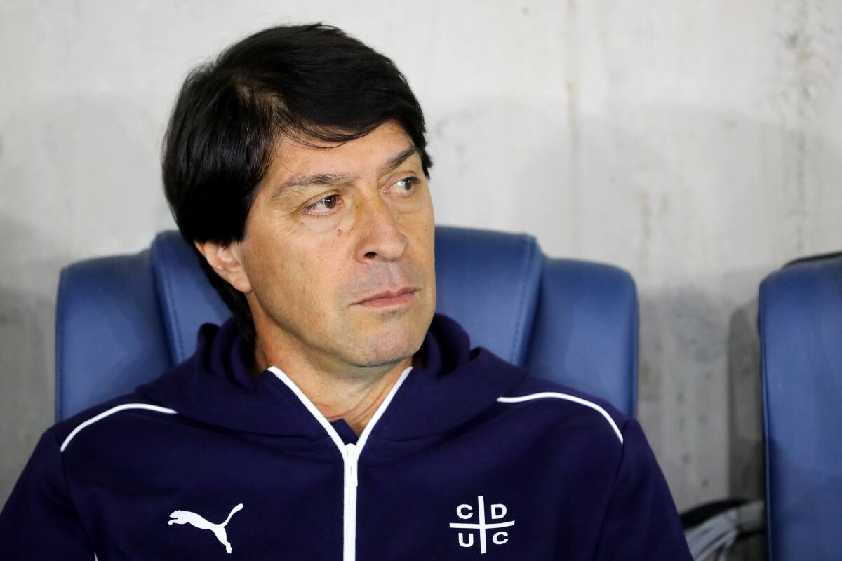 . Entrenador de la Universidad Católica. Foto: Agencia Aton.