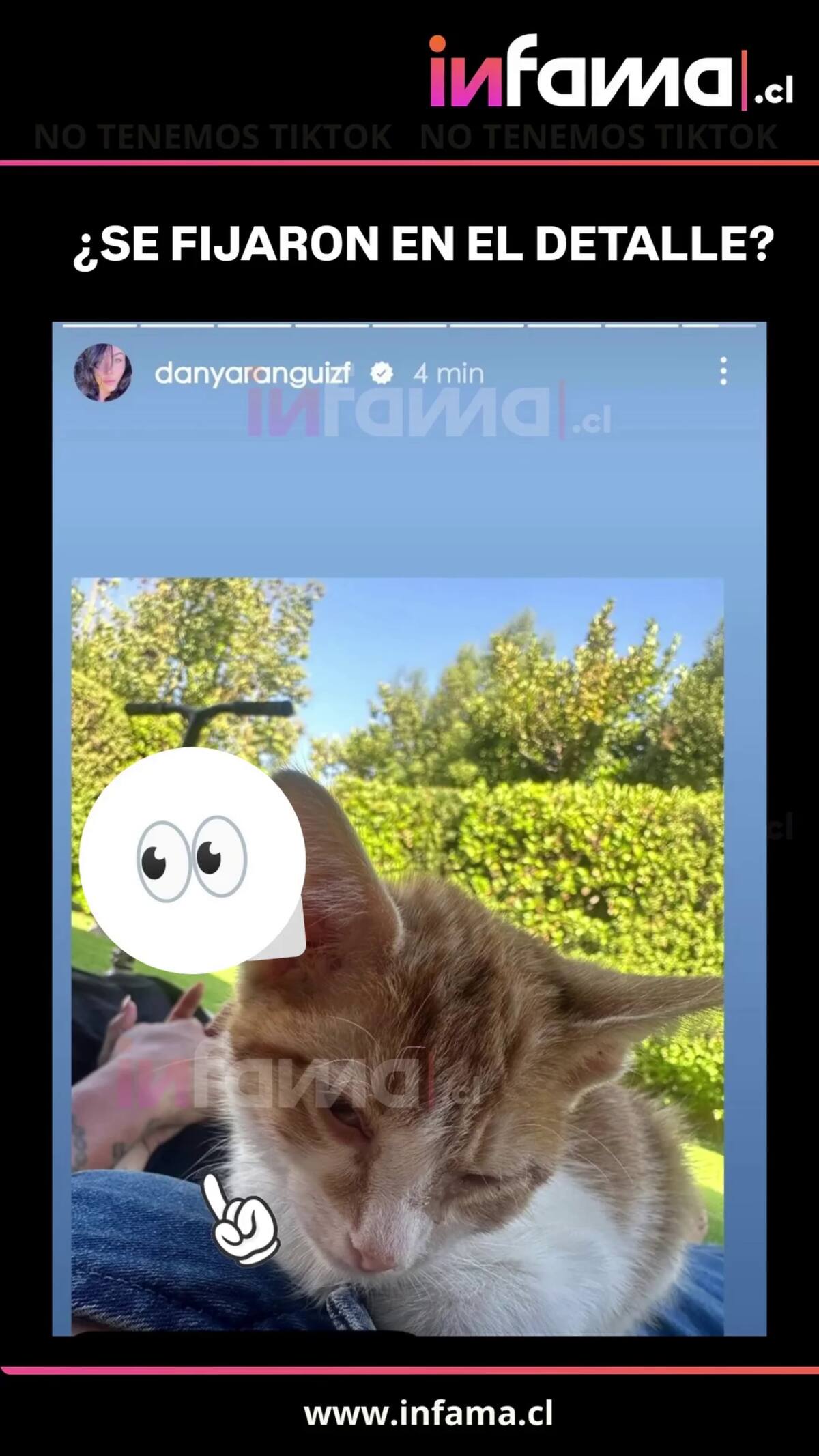 El medio Infama reportó la imagen en su cuenta de Instaram. Fuente: @infama.cl.